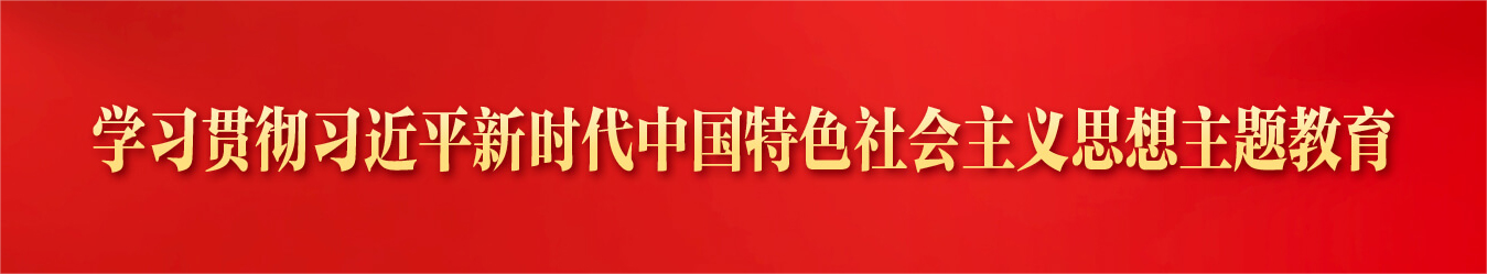 学习贯彻习近平新时代中国特色社会主义思想主题教育